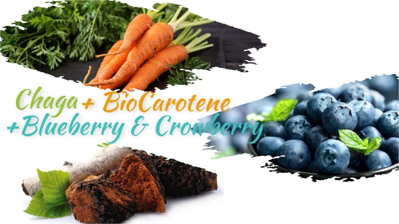 Antioxidant Booster Pack - Chaga + Blueberry & Crowberry + Bio-Carotene